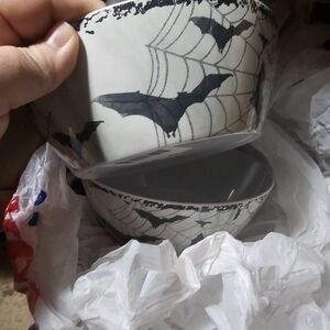Spider Web and Bat Design Bowl Set (2)